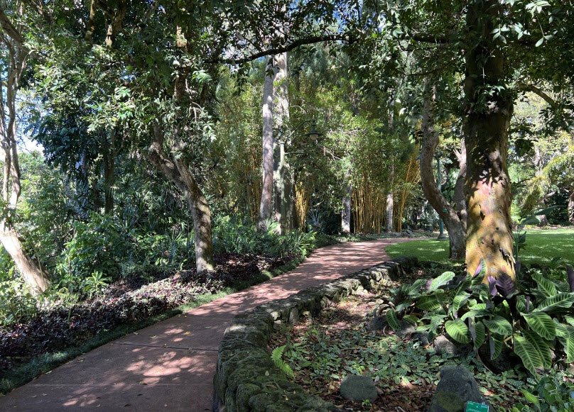 Wahiawa Botanical Garden, United States